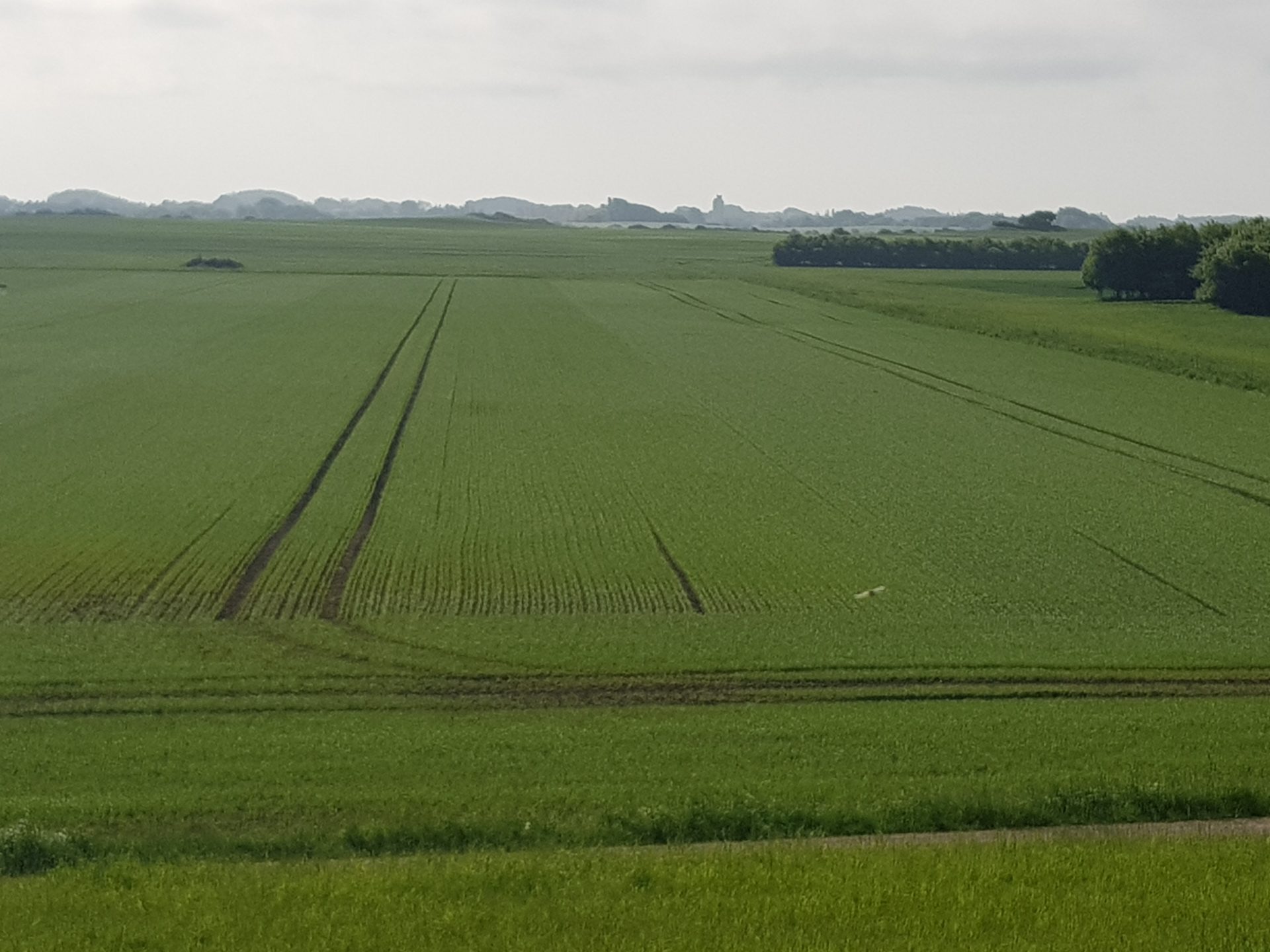 Se Super ADD effekt interfiller