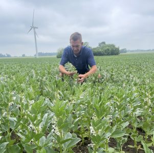 Mads Lassen AgroPro Danmark og Interfiller om chelateret mikronæring ved hestebønner